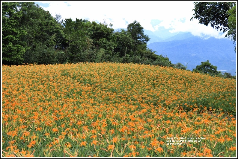 玉里東豐竹林湖-2020-09-66.jpg