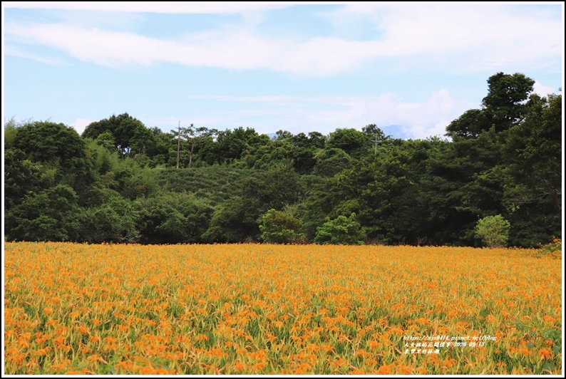 玉里東豐竹林湖-2020-09-74.jpg