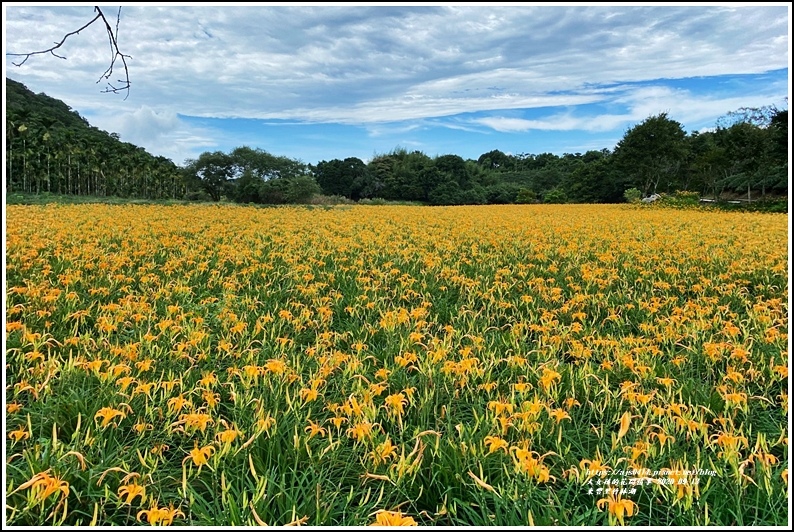 玉里東豐竹林湖-2020-09-73.jpg