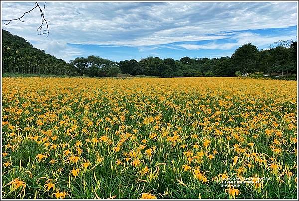 玉里東豐竹林湖-2020-09-73.jpg