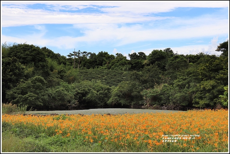 玉里東豐竹林湖-2020-09-78.jpg