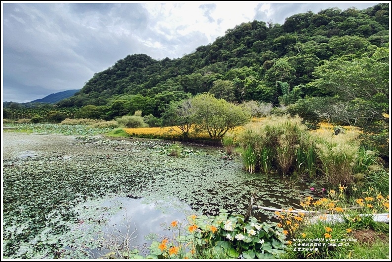 玉里東豐竹林湖-2020-09-83.jpg