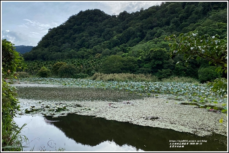 玉里東豐竹林湖-2020-09-84.jpg