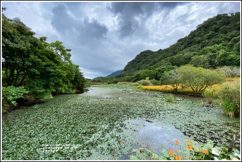 玉里東豐竹林湖-2020-09-82.jpg