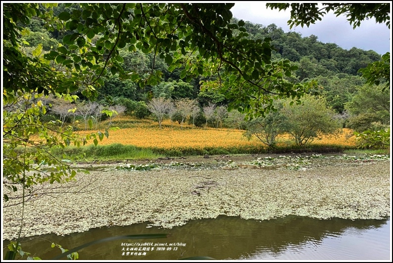 玉里東豐竹林湖-2020-09-86.jpg