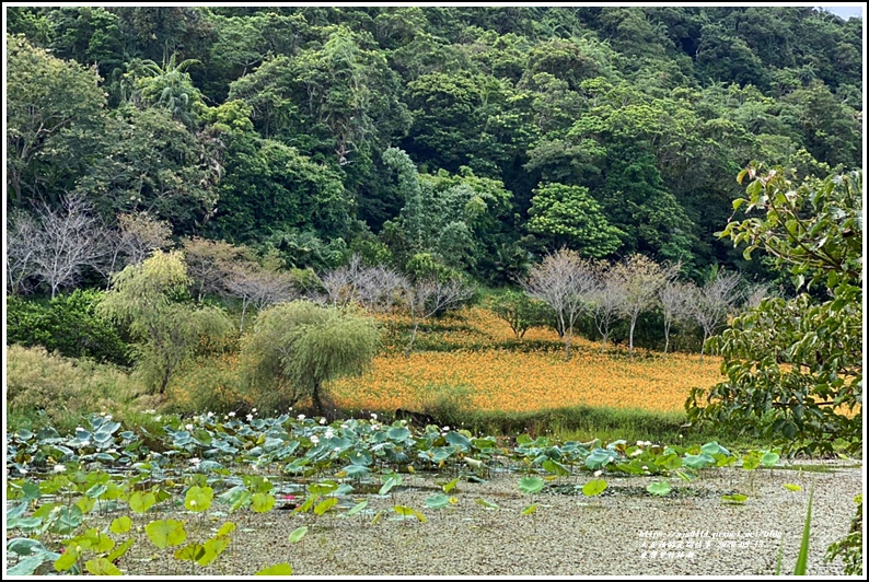 玉里東豐竹林湖-2020-09-85.jpg