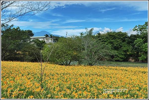 玉里東豐竹林湖-2020-09-101.jpg