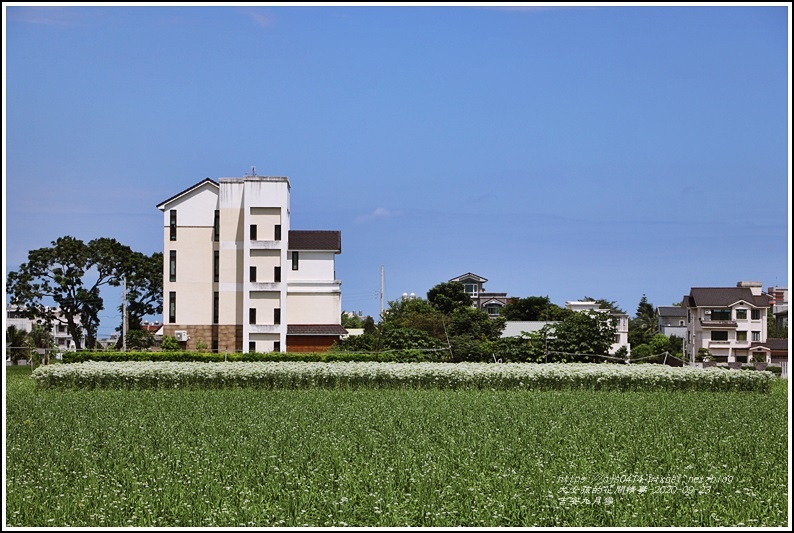 吉安九月雪-2020-09-51.jpg