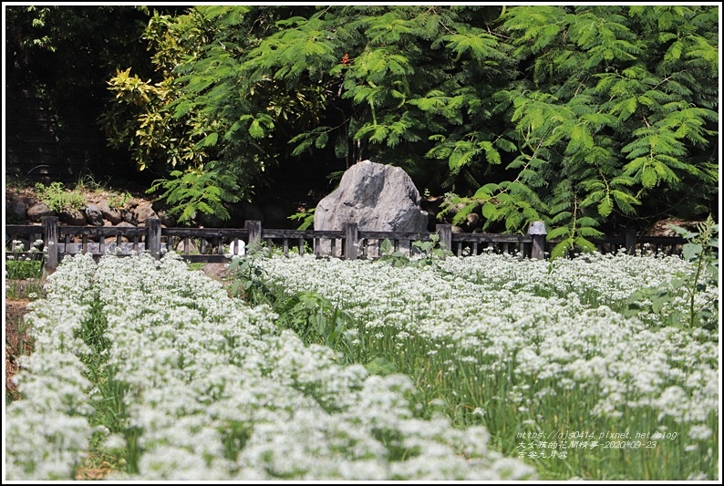 吉安九月雪-2020-09-17.jpg