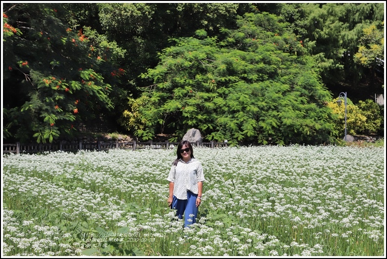 吉安九月雪-2020-09-11.jpg