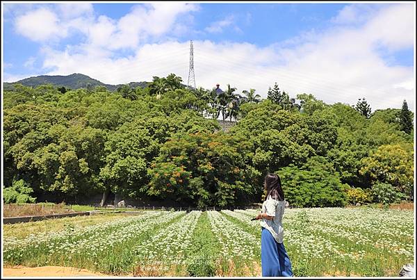 吉安九月雪-2020-09-03.jpg