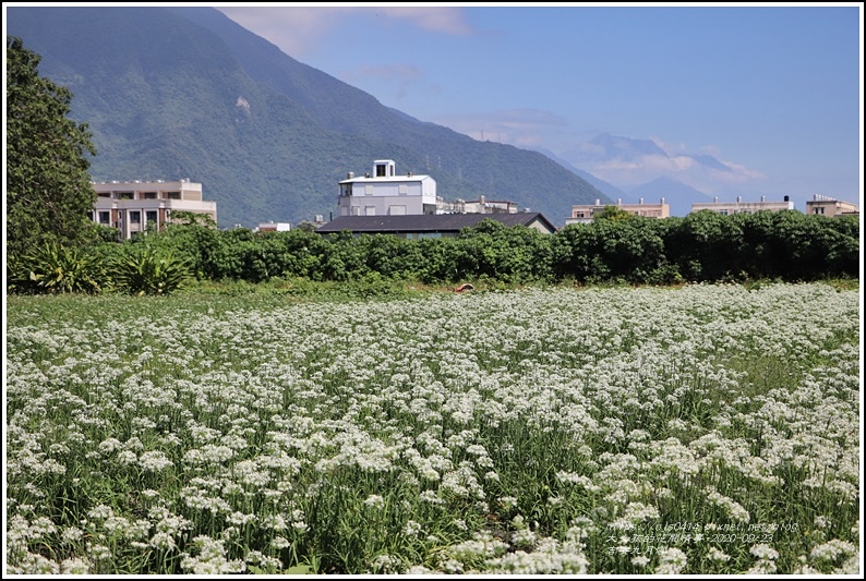 吉安九月雪-2020-09-64.jpg