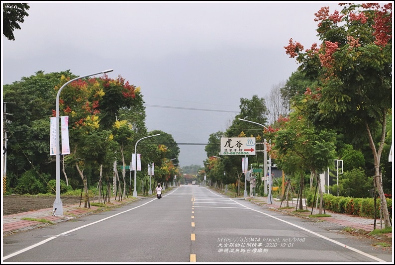 瑞穗溫泉路台灣欒樹-2020-10-01.jpg