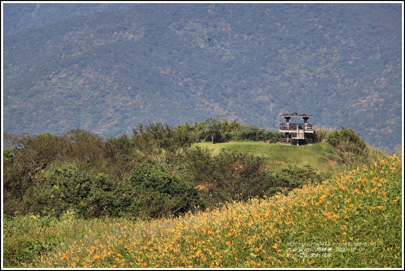 六十石山金針花季-2020-10-50.jpg 六十石山金針花季-2020-10-50.jpg