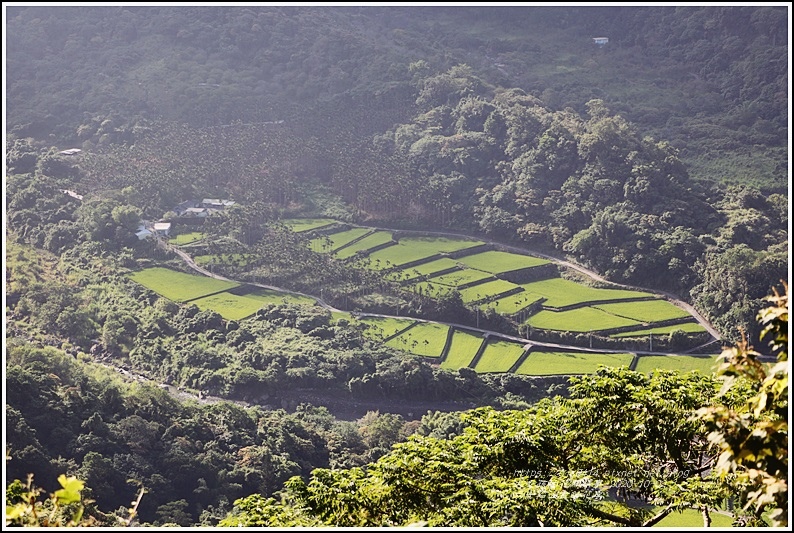 六十石山金針花季-2020-10-07.jpg 六十石山金針花季-2020-10-07.jpg