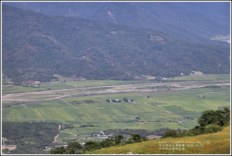 六十石山金針花季-2020-10-100.jpg