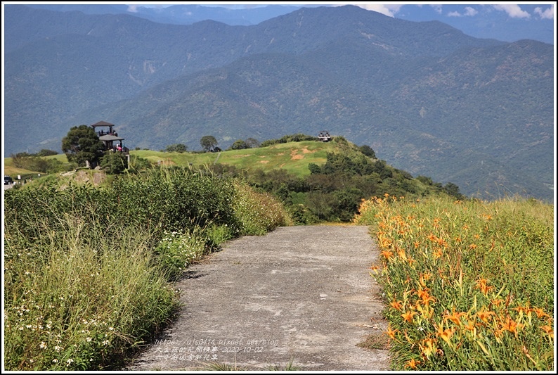六十石山金針花季-2020-10-72.jpg 六十石山金針花季-2020-10-72.jpg