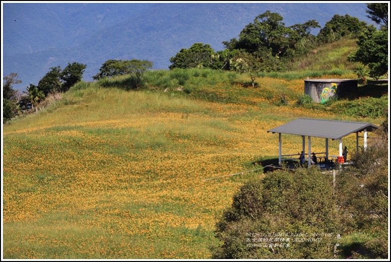 六十石山金針花季-2020-10-76.jpg 六十石山金針花季-2020-10-76.jpg