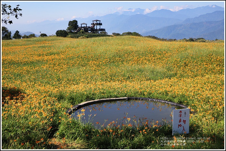 六十石山金針花季-2020-10-61.jpg 六十石山金針花季-2020-10-61.jpg