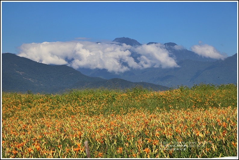 六十石山金針花季-2020-10-54.jpg 六十石山金針花季-2020-10-54.jpg