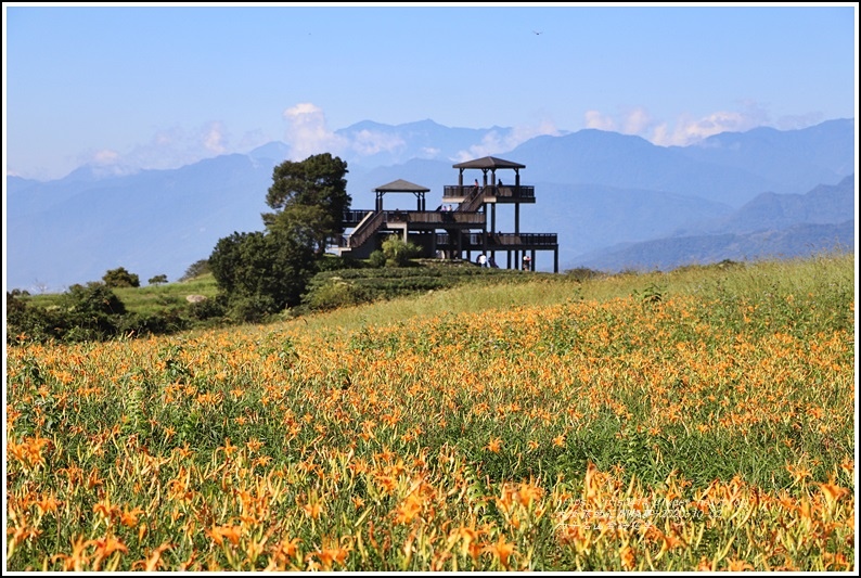 六十石山金針花季-2020-10-55.jpg 六十石山金針花季-2020-10-55.jpg