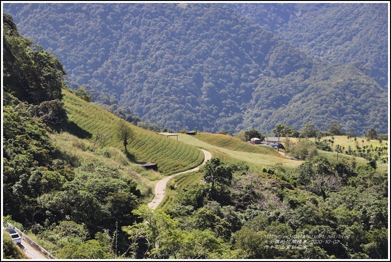 六十石山金針花季-2020-10-105.jpg