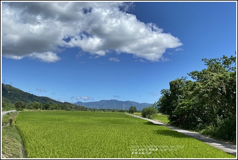 萬榮太陽花海-2020-10-72.jpg