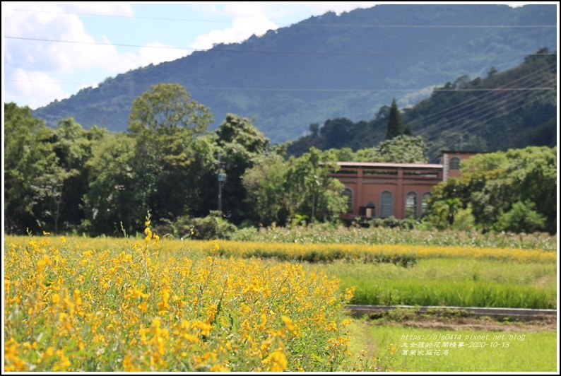 萬榮太陽花海-2020-10-59.jpg