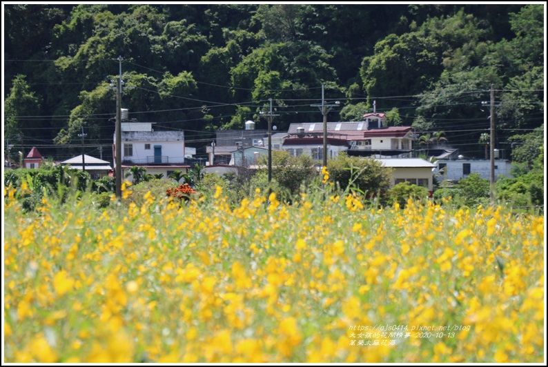 萬榮太陽花海-2020-10-47.jpg