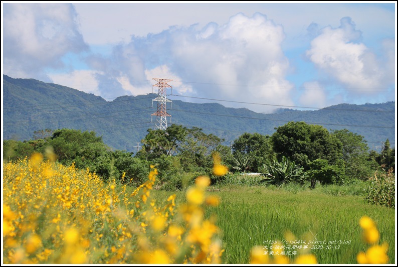 萬榮太陽花海-2020-10-26.jpg