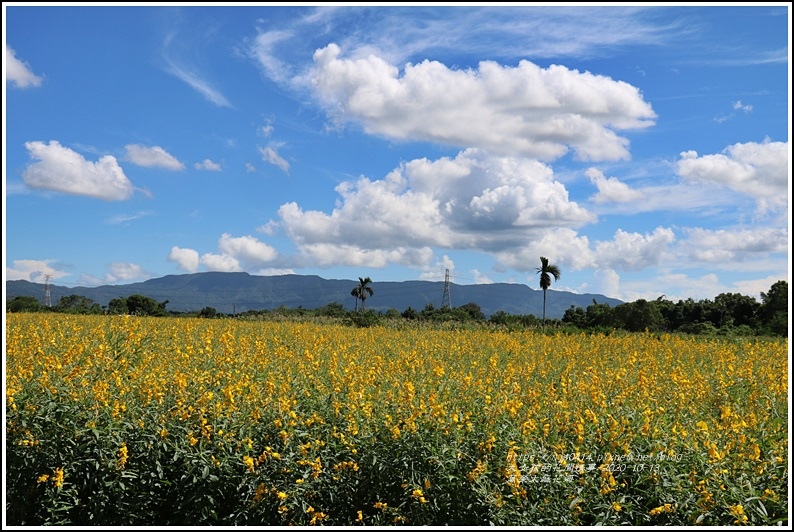 萬榮太陽花海-2020-10-02.jpg