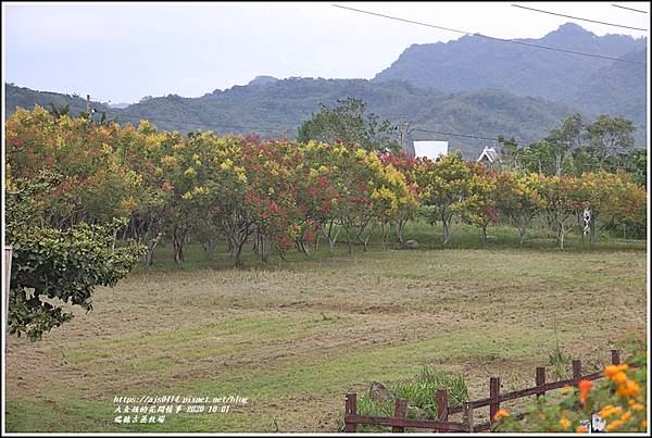 瑞穗吉蒸牧場-2020-10-95.jpg