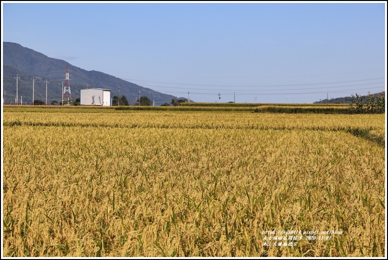 池上大坡福德宮-2020-11-02.jpg