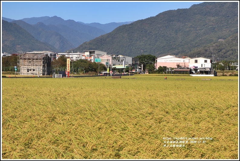 池上大坡福德宮-2020-11-03.jpg