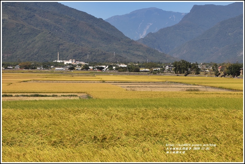 池上伯朗大道-2020-11-10.jpg