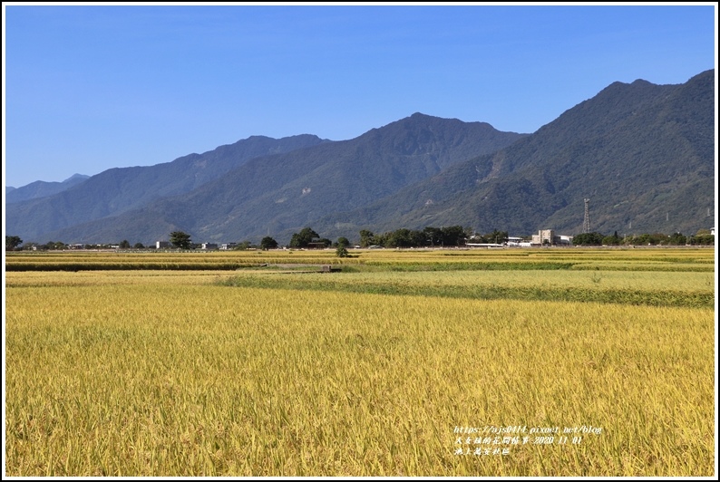 池上萬安社區-2020-11-08.jpg