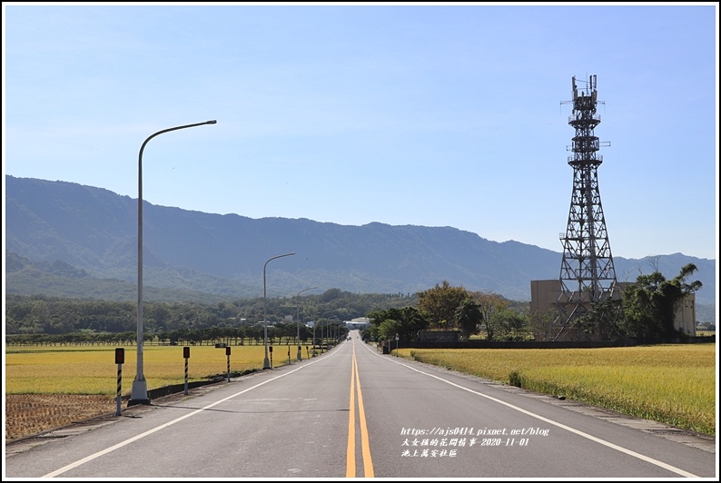 池上萬安社區-2020-11-10.jpg