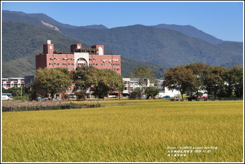 池上萬安社區-2020-11-11.jpg