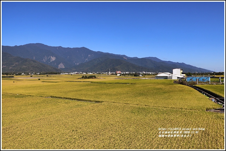 池上錦園田邊俱樂部(洗衣亭)-2020-11-01.jpg