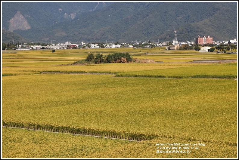 池上錦園田邊俱樂部(洗衣亭)-2020-11-02.jpg