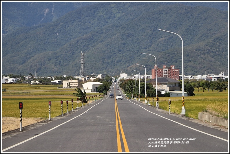 池上萬安社區-2020-11-14.jpg