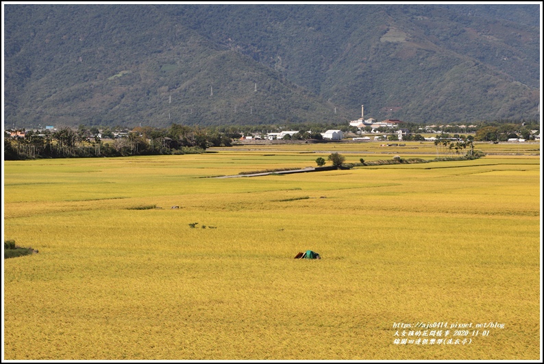 池上錦園田邊俱樂部(洗衣亭)-2020-11-04.jpg