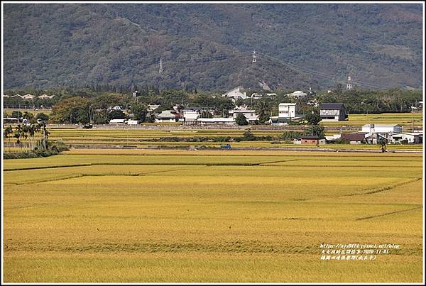 池上錦園田邊俱樂部(洗衣亭)-2020-11-06.jpg