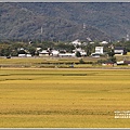 池上錦園田邊俱樂部(洗衣亭)-2020-11-06.jpg