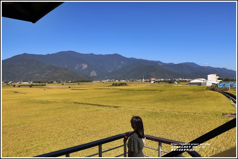 池上錦園田邊俱樂部(洗衣亭)-2020-11-09.jpg