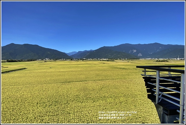 池上錦園田邊俱樂部(洗衣亭)-2020-11-20.jpg