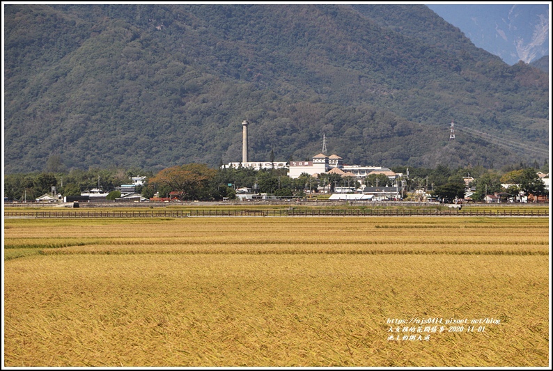 池上伯朗大道-2020-11-22.jpg