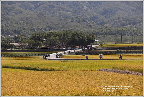 池上伯朗大道-2020-11-29.jpg