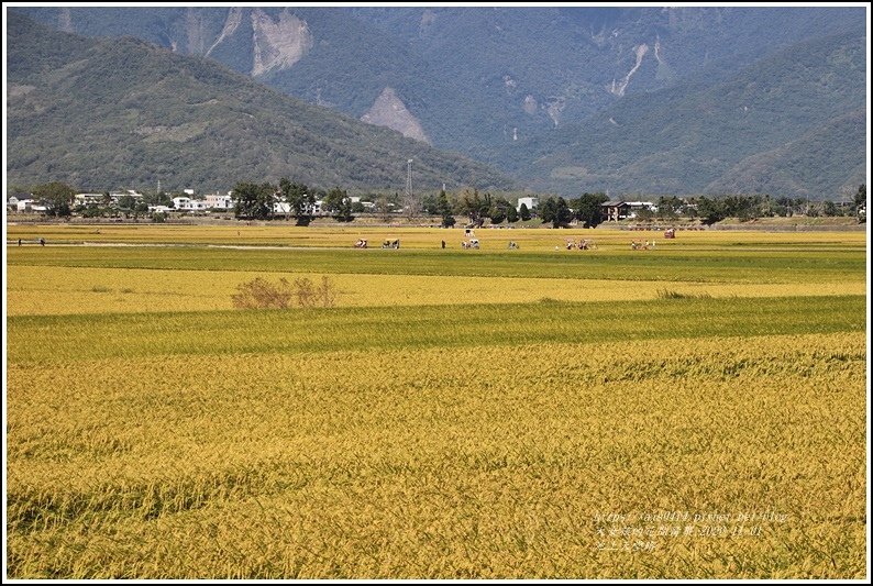 池上天堂路-2020-10-20.jpg