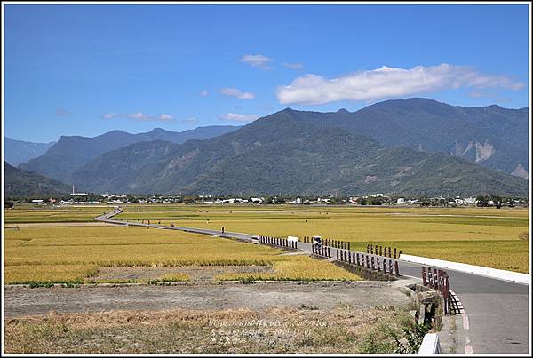 池上天堂路-2020-10-23.jpg